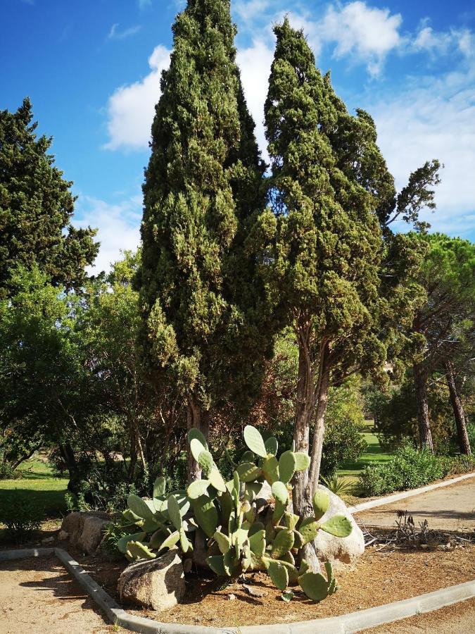 Residence Cala Sultana -Baie Santa Giulia - Rez Jardin 1Ere Ligne Porto-Vecchio  Ngoại thất bức ảnh
