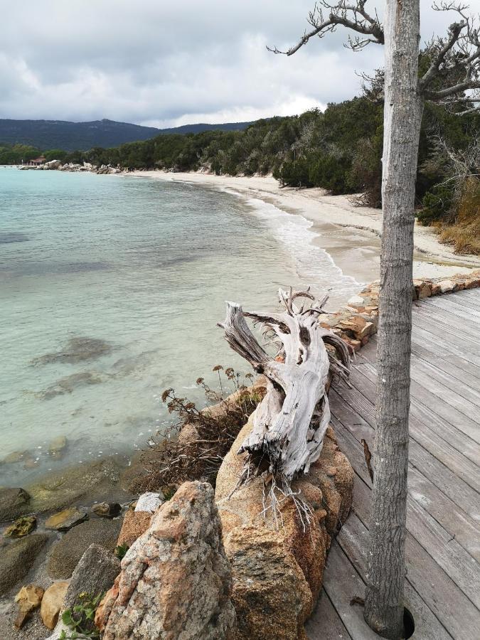 Residence Cala Sultana -Baie Santa Giulia - Rez Jardin 1Ere Ligne Porto-Vecchio  Ngoại thất bức ảnh