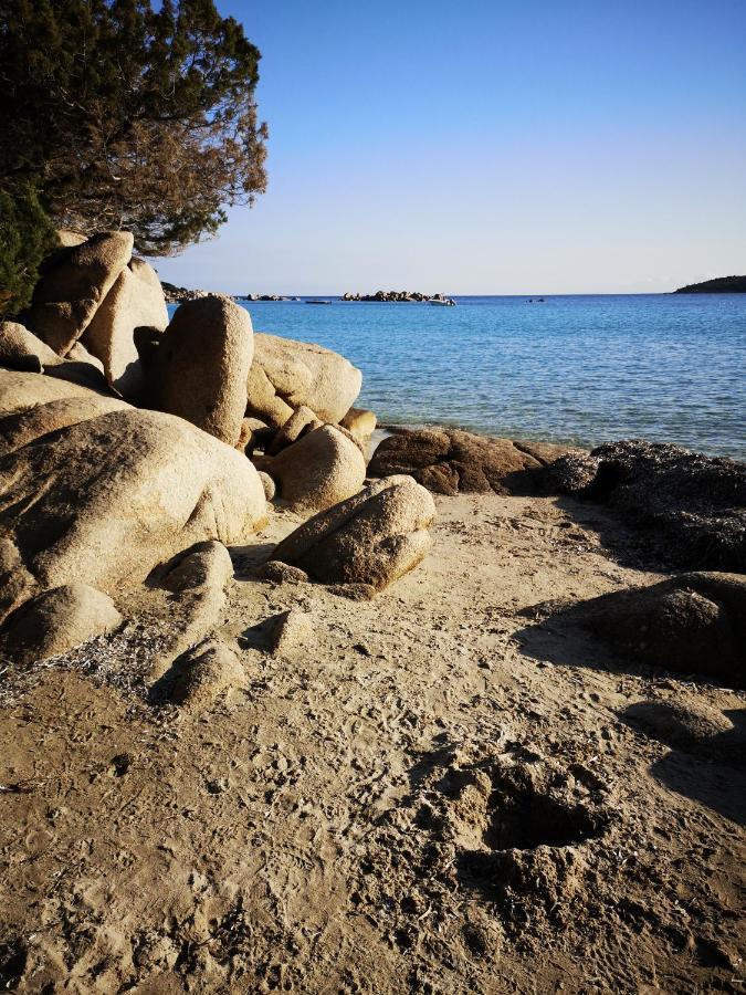 Residence Cala Sultana -Baie Santa Giulia - Rez Jardin 1Ere Ligne Porto-Vecchio  Ngoại thất bức ảnh